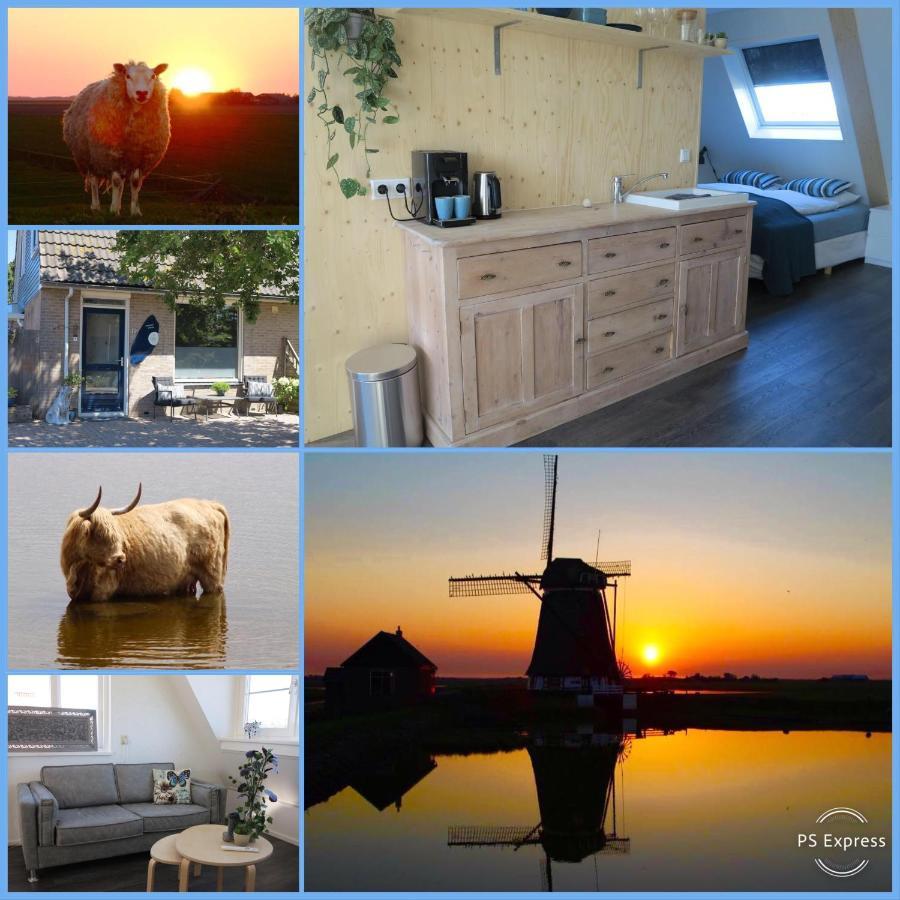 B&B Zonnedael Oosterend  Eksteriør billede